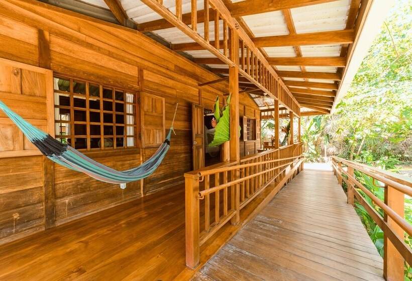 酒店 Casa Viva Lodge