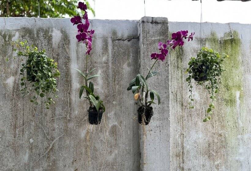 酒店 Chan&both Guesthouse