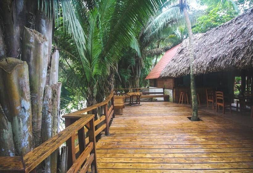 בית מלון כפרי Cohune Palms River Cabanas
