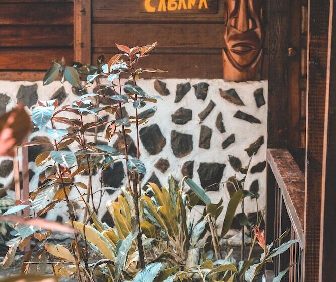 בית מלון כפרי Cohune Palms River Cabanas