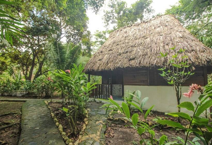 호텔 Cohune Palms River Cabanas