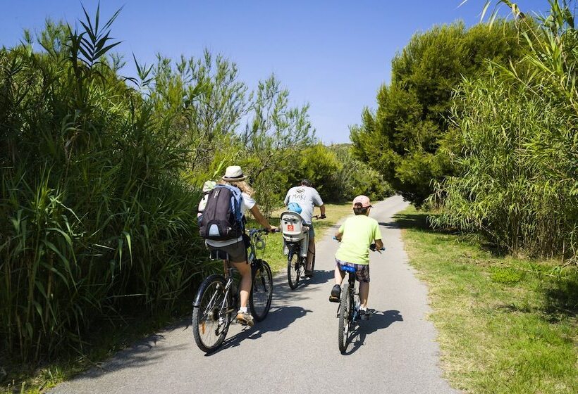 Отель Appartements De L Hélios îles Des Embiez