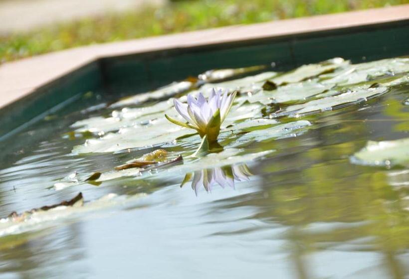فندق House On The Bend