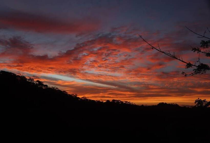 فندق Konsenda San Blas