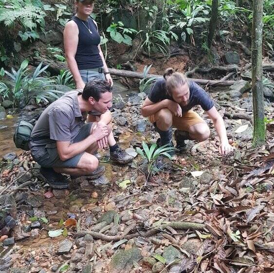 فندق Konsenda San Blas