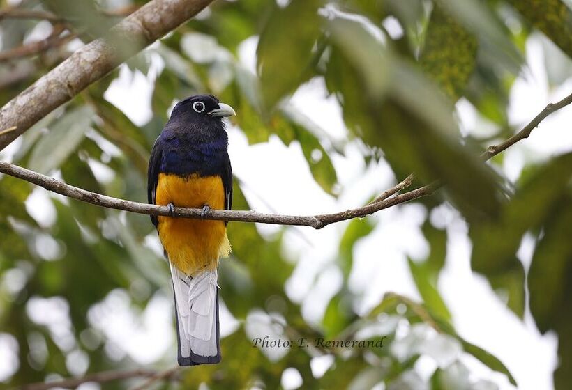 فندق Konsenda San Blas