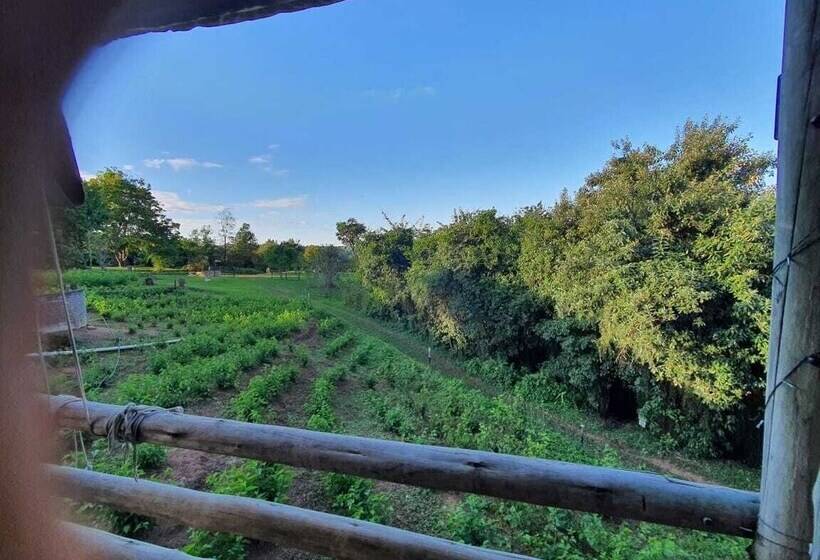 בית מלון כפרי Mulberry Lane Suites