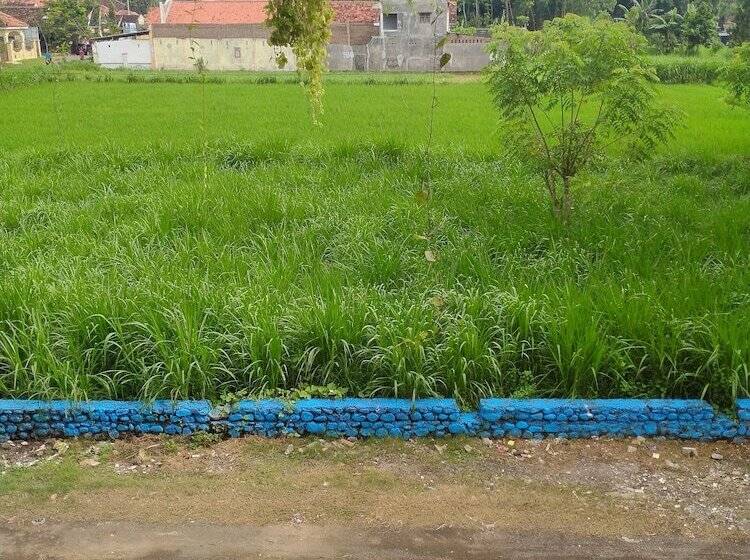 호텔 Penginapan Banyu Biruku