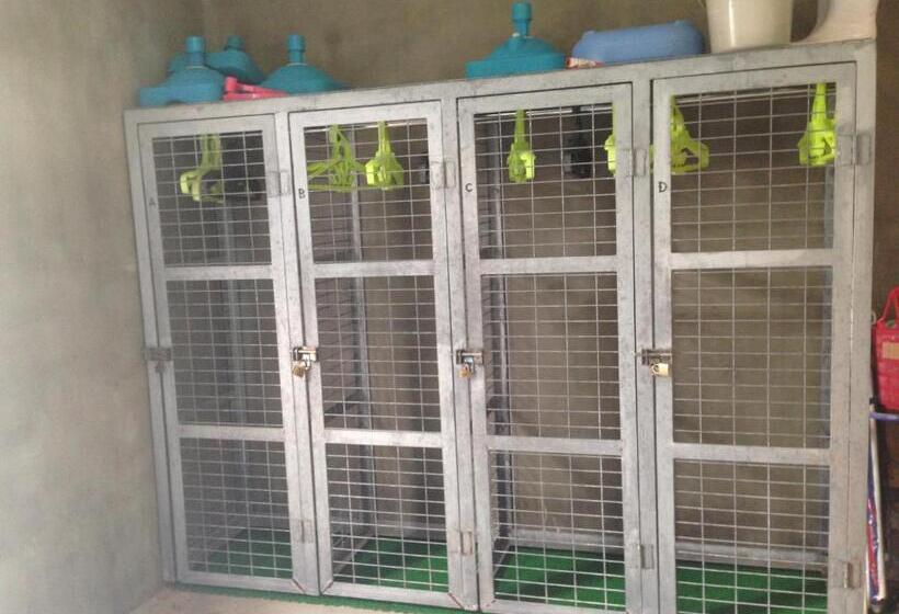 Отель Southern Coast Miyakojima