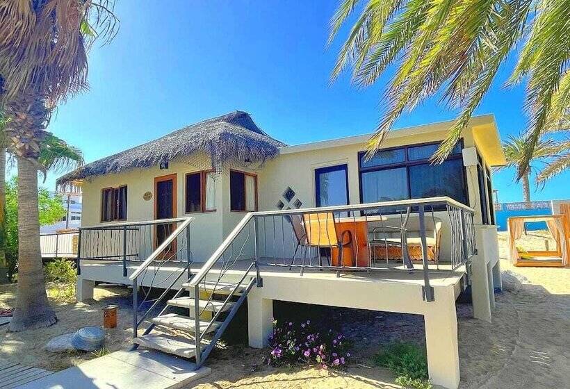 ホテル Ventana Windsports