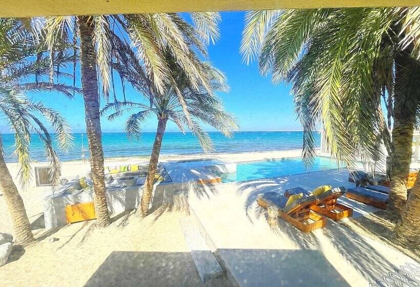 فندق Ventana Windsports