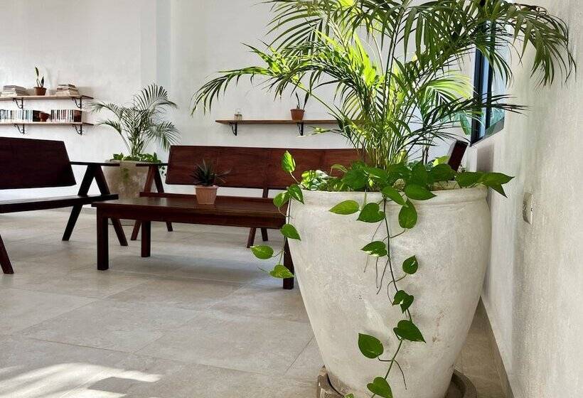 فندق Villas Tikuch