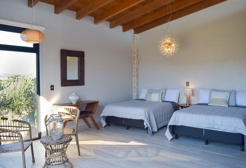 فندق Viñedo Casa La Noria