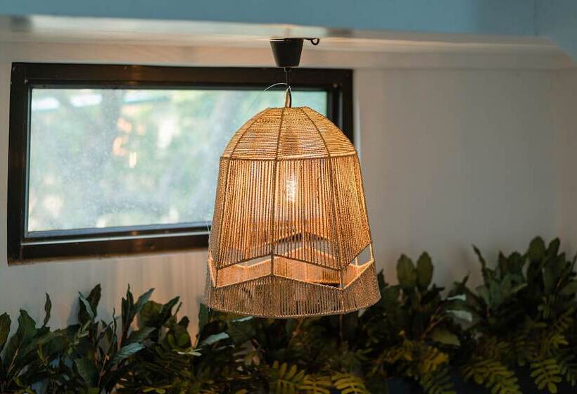 Island Wanderers Inn