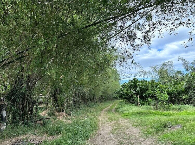 Kilyawan Farm Resort