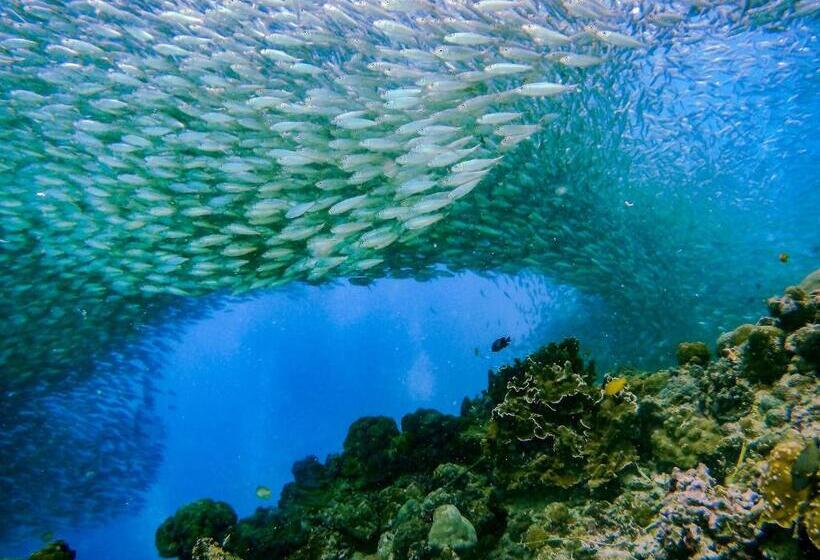 Native House Resort By Cocotel