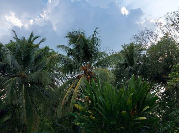 펜션 Casa Colombre Palenque