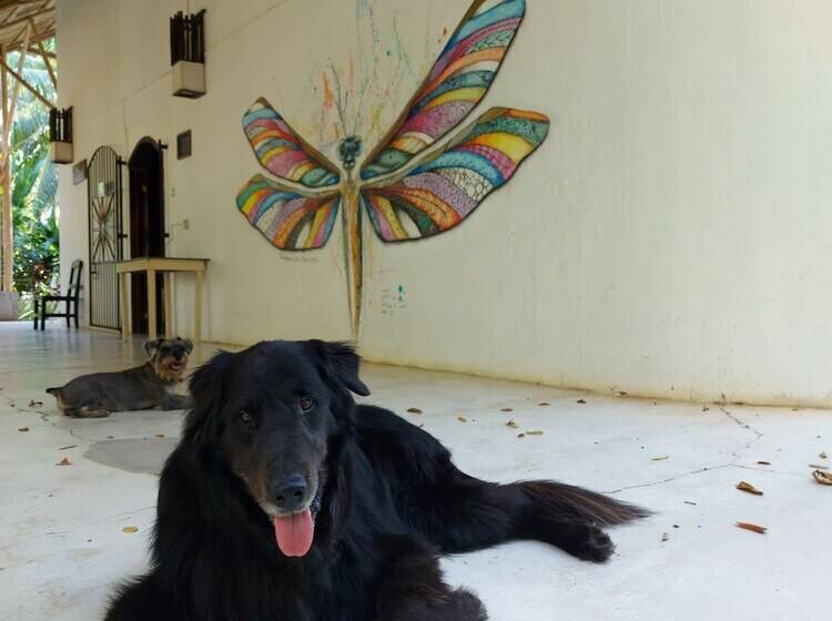 펜션 Casa Colombre Palenque