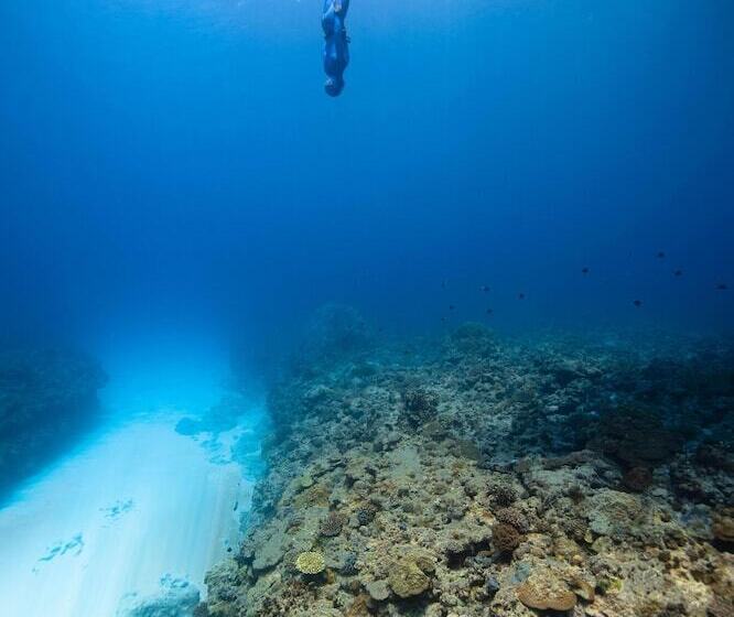 پانسیون Empyrean Stay