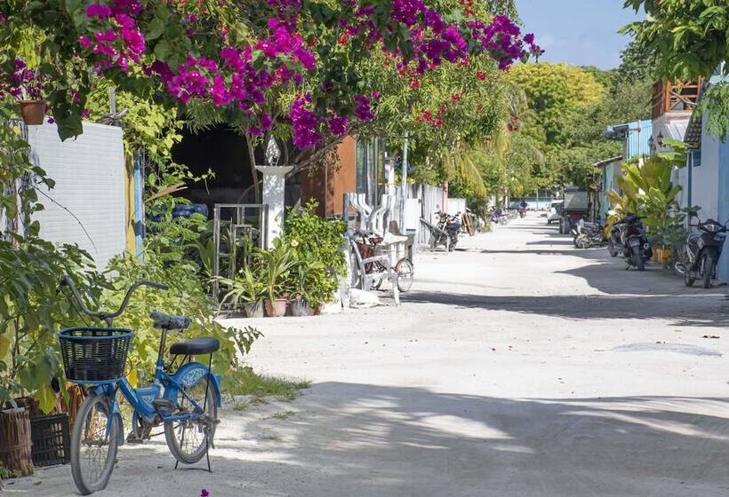 پانسیون Empyrean Stay