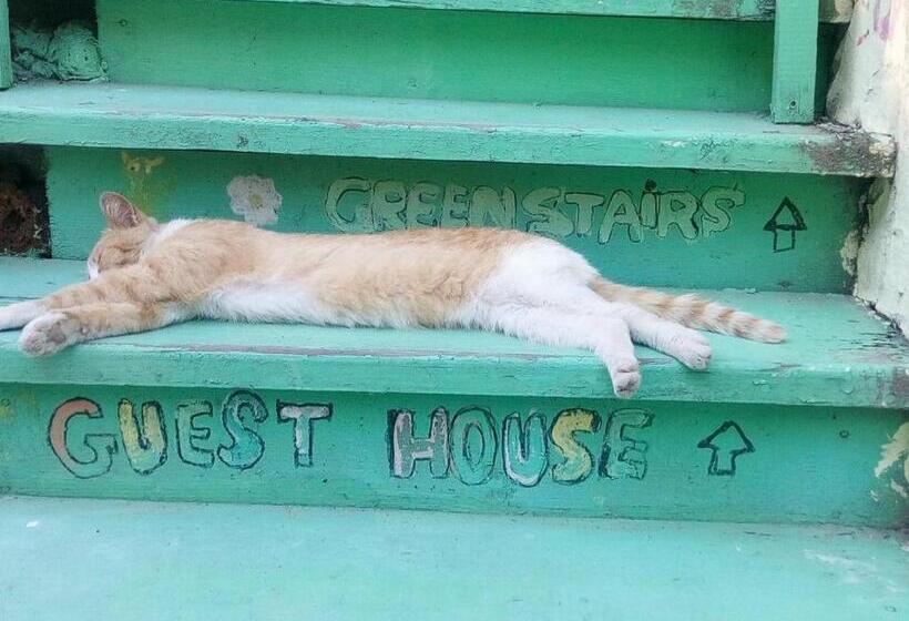 پانسیون Green Stairs Guest House