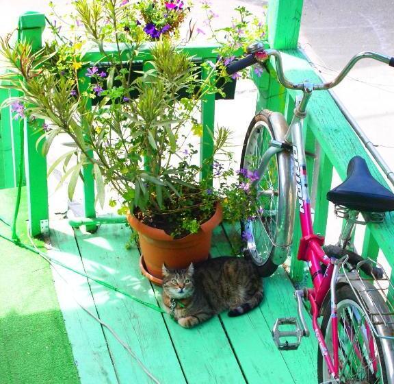 پانسیون Green Stairs Guest House