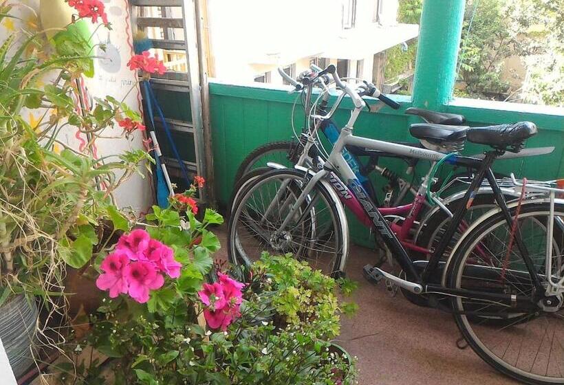 پانسیون Green Stairs Guest House