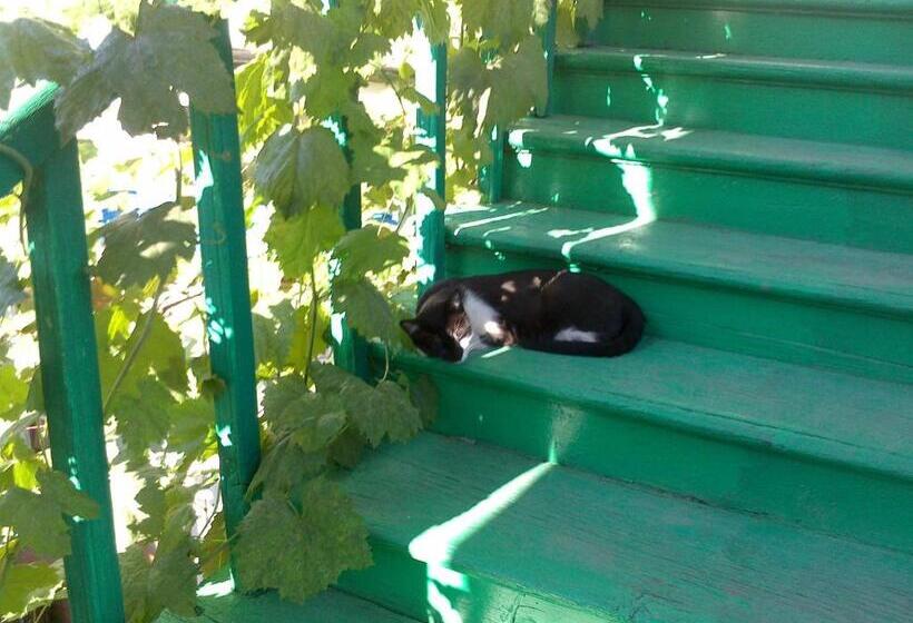 پانسیون Green Stairs Guest House