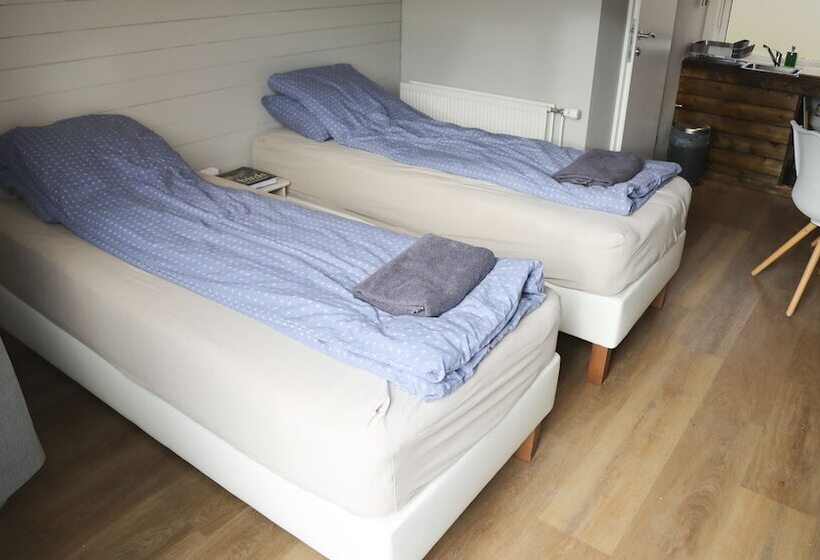 پانسیون áshamrar