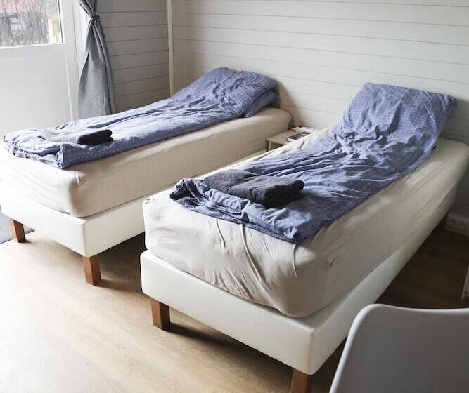 پانسیون áshamrar