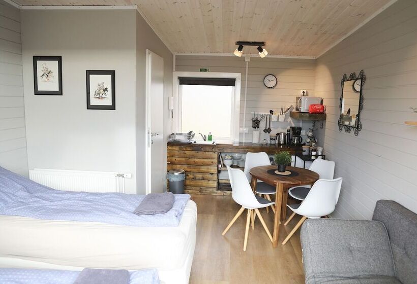 پانسیون áshamrar