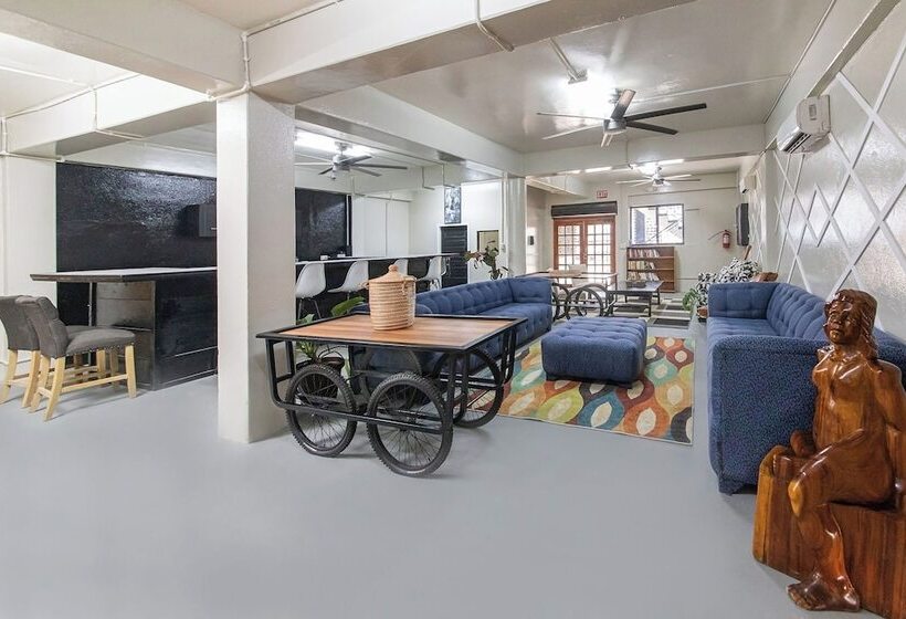 بنسيون The Majestic Guest House