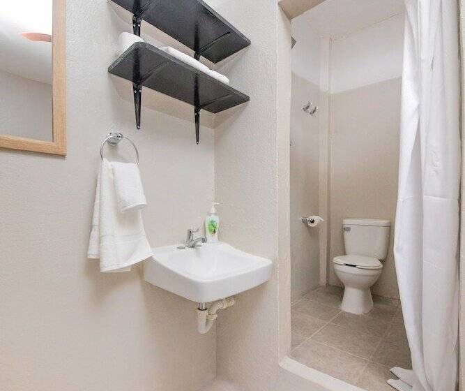 بنسيون The Majestic Guest House