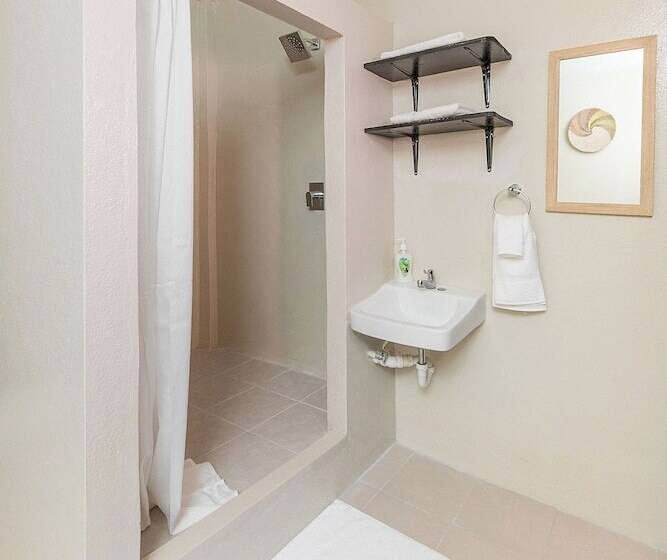 بنسيون The Majestic Guest House