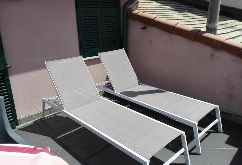 پانسیون The Terrace