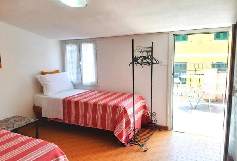 پانسیون The Terrace