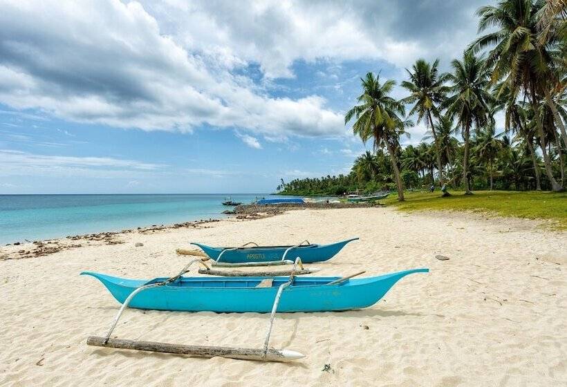 渡假胜地  Camotes Hidden Huts Rooms Bar Restaurant