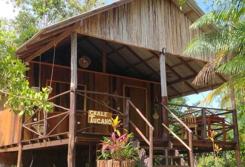 リゾートホテル Ponta Poranga Jungle Lodge