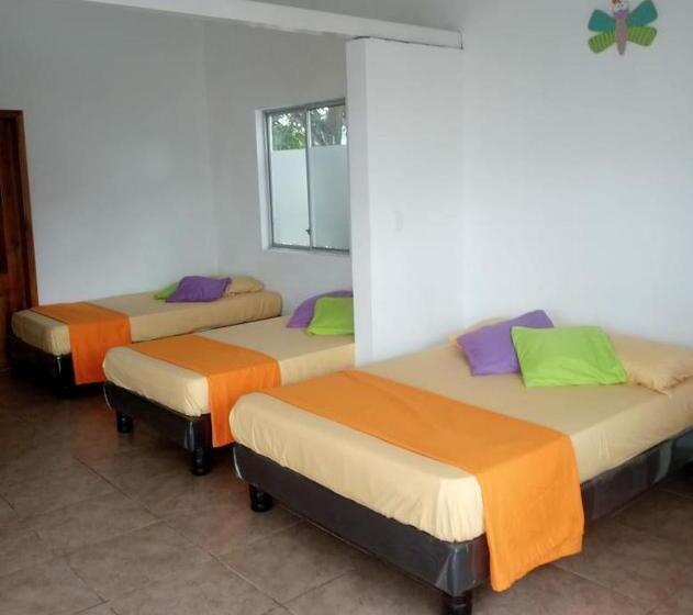 旅馆 Olimpia Habitaciones Departamentos