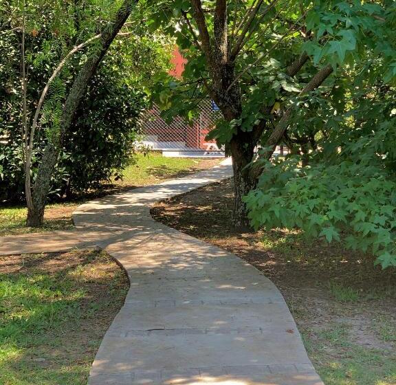 فندق صغير Posada Del Cerro