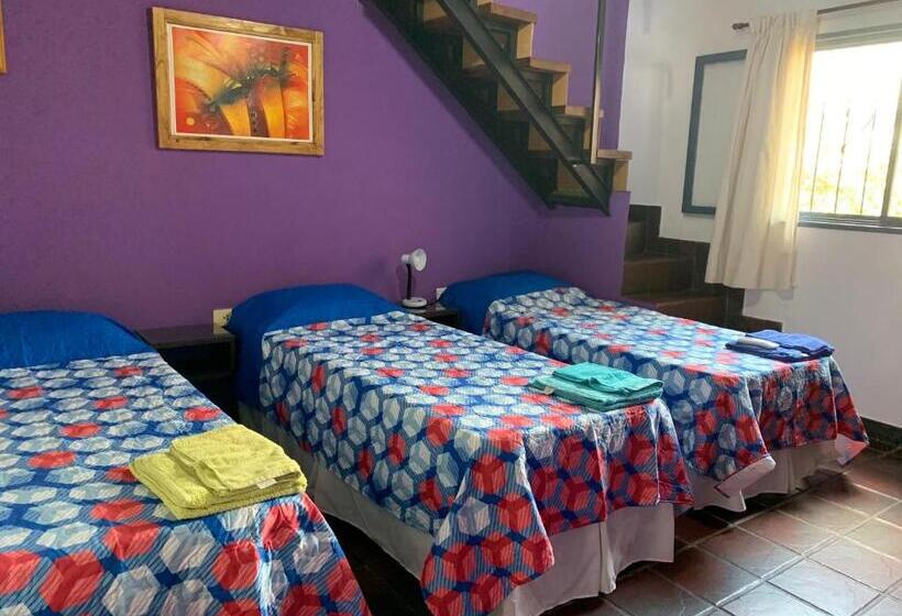 فندق صغير Posada Del Cerro
