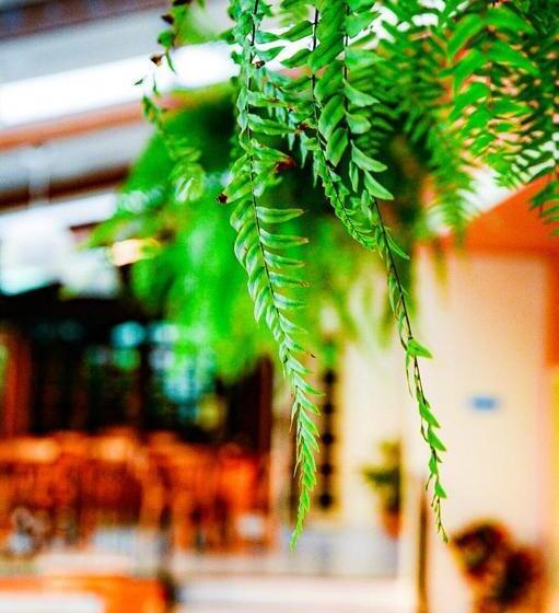 호스텔 Pousada Solmaior