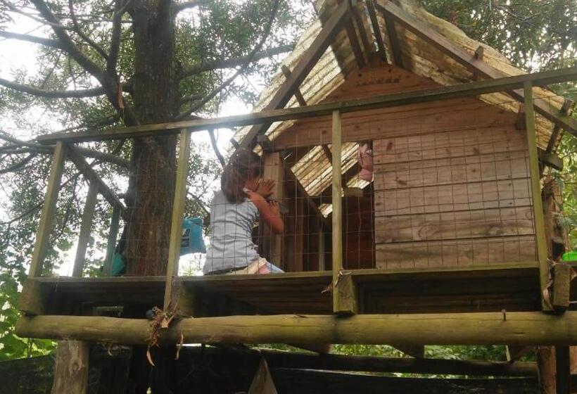 הוסטל Resiliencia