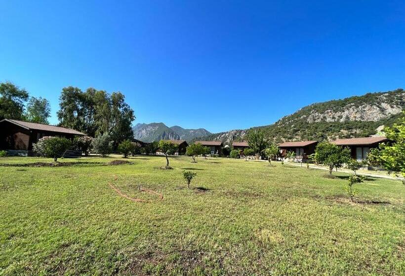 Alicra Hotel çıralı