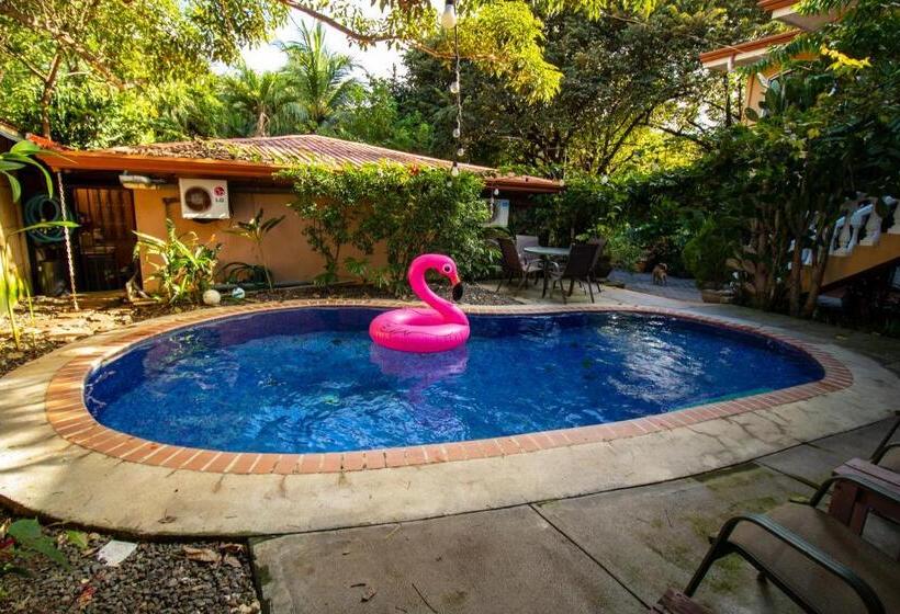 Anona Guesthouse