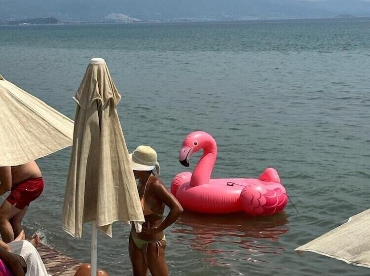 住宿加早餐  Apelles Butik Otel