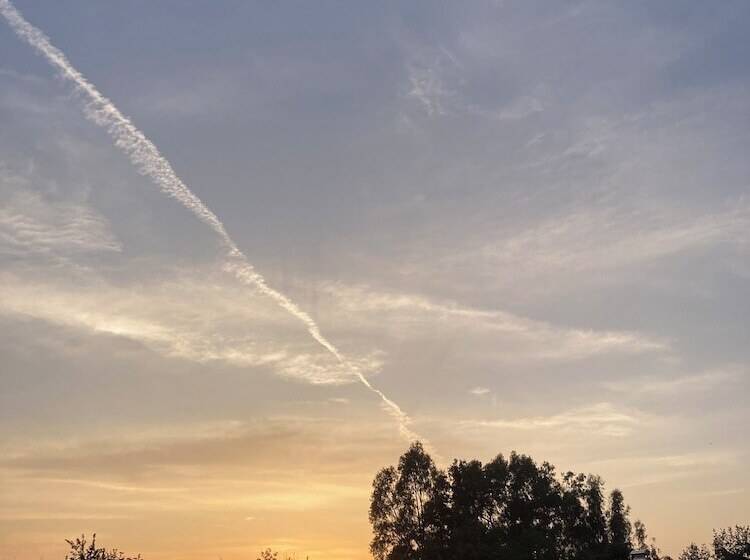 Bed and Breakfast Baraqa Hoolbox Tiny House