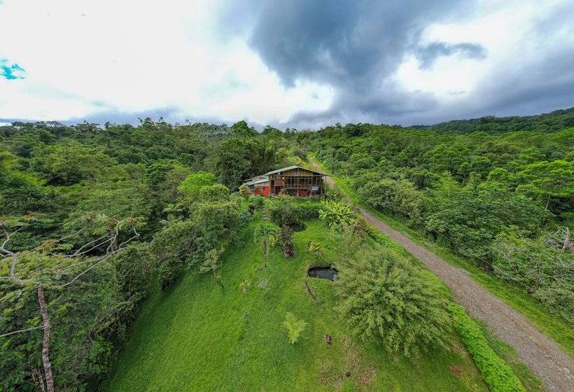 مبيت وإفطار Birds & Breakfast