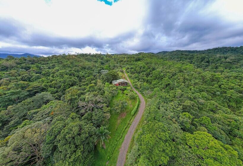 مبيت وإفطار Birds & Breakfast