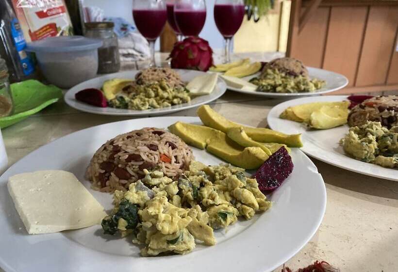 مبيت وإفطار Birds & Breakfast